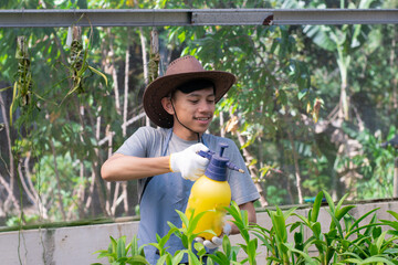 a young asian farmer is doing the process of watering and spraying orchids in his greenhouse, modern agriculture and plantation concept