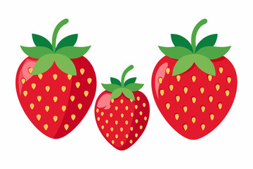 Set of Strawberry fruit Vector style on a White Background