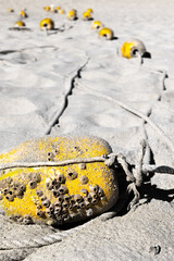 Yellow float barrier on beach sand