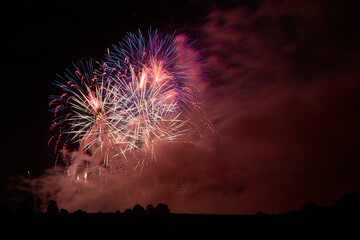 Particulate matter and carbon dioxide exposure from New Year's Eve fireworks. Climate change due to air pollution harms the environment.