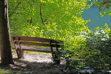 Image of a deserted wooden bench in a forest by a lake