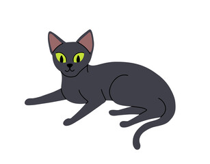 Flat cartoon set of Black cats in various poses isolated on white background. Vector collection of Cats sitting, standing, resting, playing.