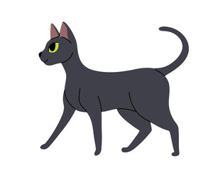 Flat cartoon set of Black cats in various poses isolated on white background. Vector collection of Cats sitting, standing, resting, playing.