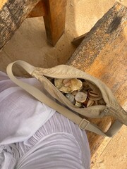 Shells in bag