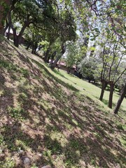 Photos of a picturesque Greek seaside village with whitewashed buildings and vibrant scenery. Mediterranean charm and serene beauty, perfect for seaside elegance.