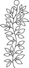 Flower branch doodle. Hand drawn herb line plant with leaves. Summer and spring rural branch. Natural decorative foliage sketch leaf. Floral isolated elements for wedding greeting card vector icon