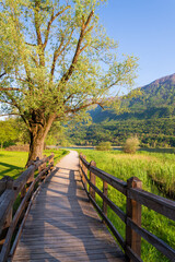 Fototapeta premium Carlazzo, Italy: paths along the shores of Lago Piano. Small nature reserve located in Val Menaggio. It has an area of ​​0.72 km2 and a maximum depth of 13 meters and it is located near Porlezza town