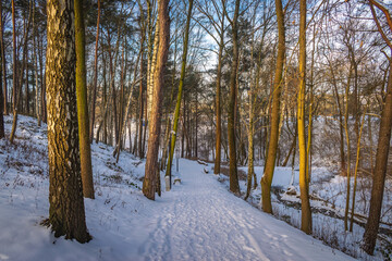 Zimowa leśna ścieżka oświetlona ciepłym światłem wschodzącego słońca © Krzysztof Rostkowski