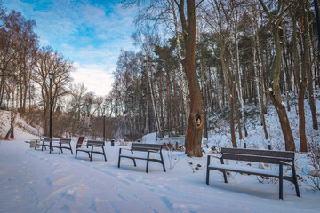 Zaśnieżona parkowa alejka z ławkami w parku © Krzysztof Rostkowski