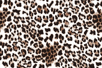 Animal skin decorative texture, leopard leather seamless skin