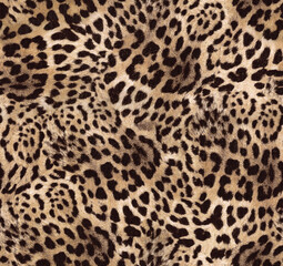 Animal skin decorative texture, leopard leather seamless skin