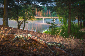 Leśny spokój nad jeziorem