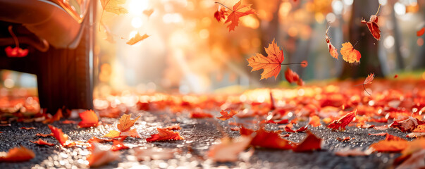 car tires on asphalt with many colourful autumn maple leaves falling from the trees in beautiful park