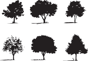 Set Trees. Hand drawn vector illustration	