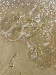 footprint on sand beach at Curonian Courish Spit