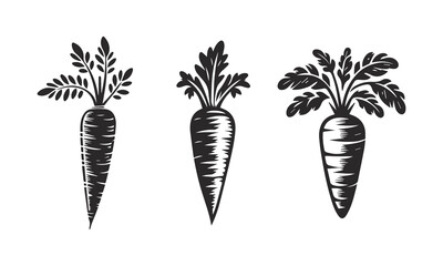 Vector illustration of a carrot.