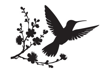 Hummingbird silhouette vector
