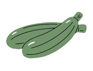 Zucchini on white background. Green vegetable. Healthy eating and diet. Natural vegetarian product with vitamins. Farm harvest. Cooking ingredient. Icon sign. Flat vector isolated illustration