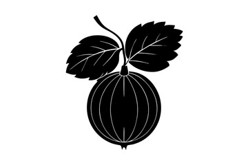 Indian gooseberry fruit with white back leaves 