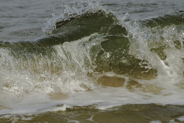 Wydma © Maciej Bonk