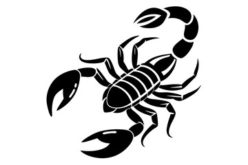 Line art of a scorpion on a white background