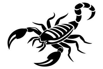 Line art of a scorpion on a white background