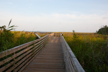A boardwalk passes through the Currituck Banks Reserve in the Outer Banks, North Carolina, with...