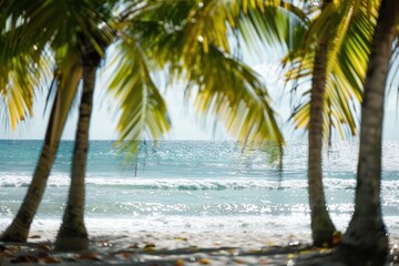 Palm Trees on the Beach