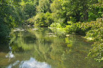 Rheinauen in der Ortenau bei  Meißenheim