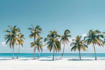 Tropical Paradise: Palm Trees on a Pristine Beach