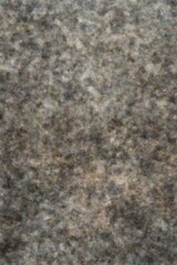 small bird standing washed texture spores ultra high res granite duster inspiring blurry footage white ceiling face oddly shimmering cloudy background incredibly illegible