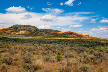 Fototapeta premium Fossil Butte National Monument in Wyoming, the vibrant blue sky and white clouds contrast with the orange hills and green grass, while rugged rock formations and sparse shrubs cross the horizon.