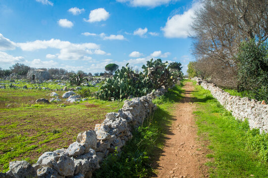 Un sentiero in terra rossa corre fra due muretti a secco lungo il Cammino del Salento che da Lecce porta a Santa Maria di Leuca