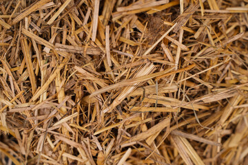 Straw close-up, natural background.