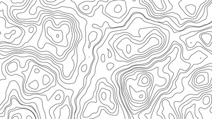 Fototapeta premium Topographic map. Geographic mountain relief. Abstract lines background. Contour maps. Vector illustration, Modern design with White background with topographic wavy pattern