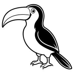 toucan on tree wood black silhouette illustration,toucan on a branch