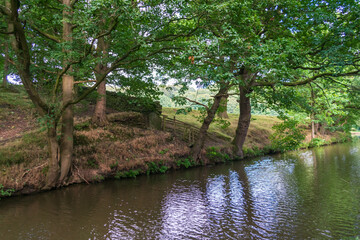 river in the park