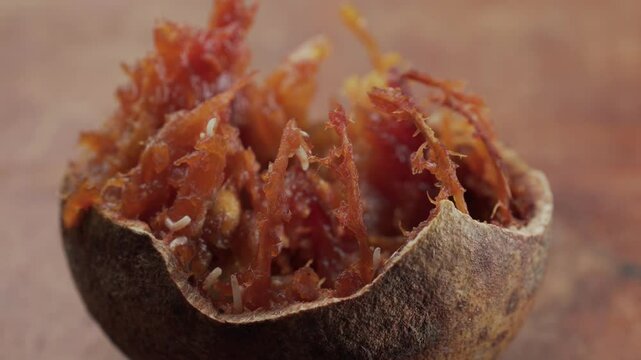 Macro close up of rotten beil fruit with worms and maggots 
