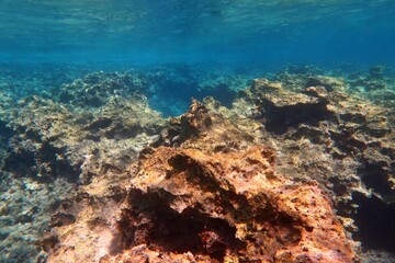Fototapeta premium Underwater rocky seascape with colorful stones. Blue clear calm sea, underwater photography from scuba diving. Ocean and rocks, travel picture. Shoreline in the water.