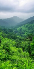 Obraz premium A lush green forest with a mountain in the background. The sky is cloudy and the trees are tall