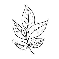 Vector autumn leaves illustration in line art style. Graphic monochrome drawing. Hand drawn floral outline sketch, engraved illustration. Design element for coloring book, tattoo, logo, icon, label