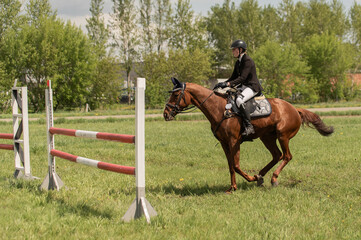 A young girl goes in for horse riding. A horse jumps over a barrier.
