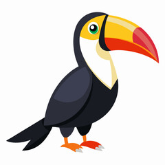 toucan bird vector illustration