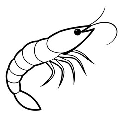 shrimp cartoon illustration