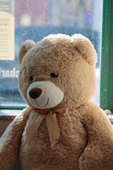 Toy bear standing in front of a window