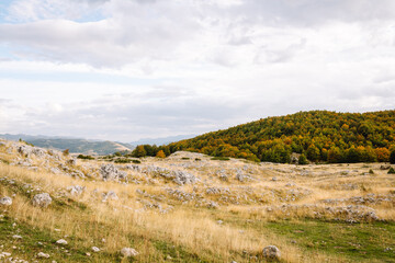 Obraz premium Scenic landscape of rocky terrain and autumn foliage in a serene countryside setting during overcast weather