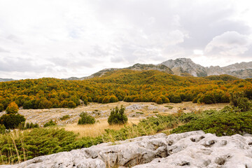 Scenic landscape of rocky terrain and autumn foliage in a serene countryside setting during...