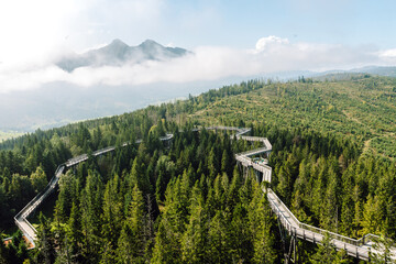 A wooden walkway extends through verdant forests, connecting the landscape under a clear blue sky. The distant mountains are partially shrouded in mist, creating a serene atmosphere.