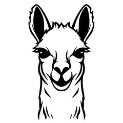 Llama Vector