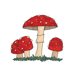 A vector illustration featuring four stylized cartoon outline fly agaric mushrooms (Amanita muscaria). The mushrooms are depicted with vibrant red caps adorned with white spots on the white background